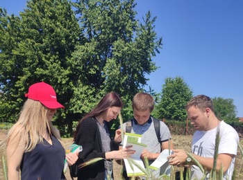 Практичне заняття з гербології: формування фахових компетентностей агрономів