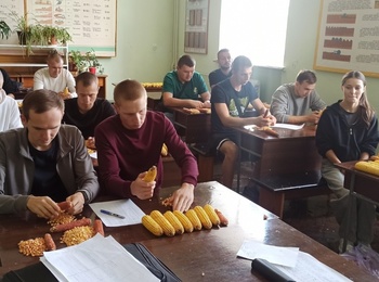 Практичний аналіз даних кукурудзи на лабораторному занятті