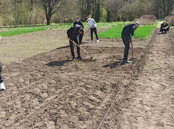 Догляд за посівами та підготовка ділянок на колекційному розсаднику