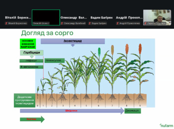 Рентабельність та стресостійкість сорго: викладачі кафедри взяли участь у тематичному вебінарі