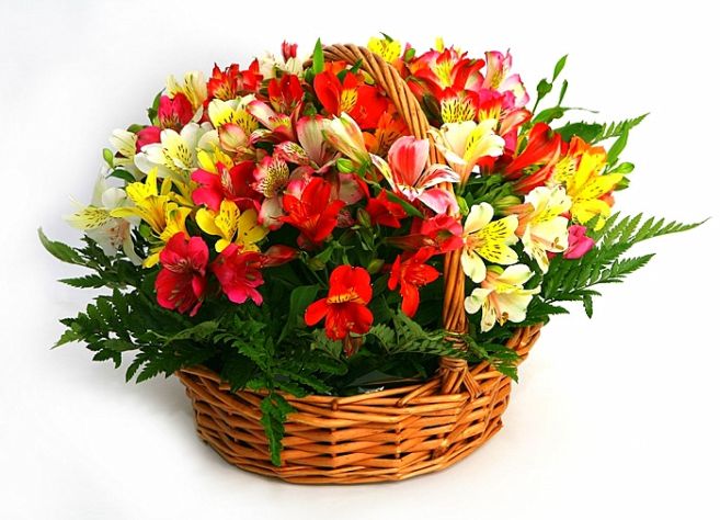 Вітаємо!!!
